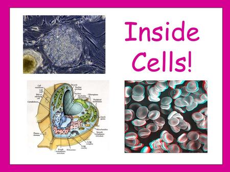 Inside Cells!.