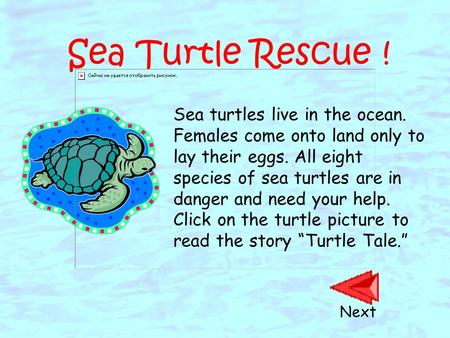 Sea Turtle Rescue ! Sea turtles live in the ocean. Females come onto land only to lay their eggs. All eight species of sea turtles are in danger and need.