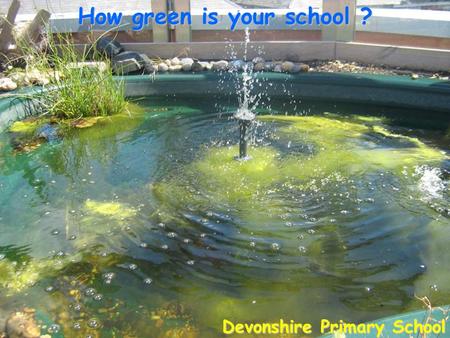 How green is your school ? Devonshire Primary School.