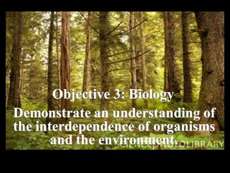 TAKS Review, Objective 3 Demonstrate an understanding of the interdependence of organisms and the environment. Objective 3: Biology.