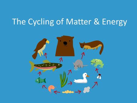 The Cycling of Matter & Energy. Let’s Start with the Big Picture: Biome Biomes Shown here are arctic tundra, savannah, and mountain biomes A geographical.
