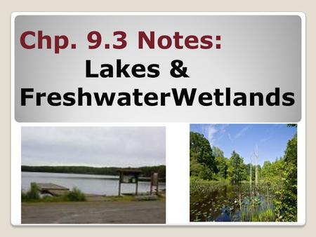 Chp. 9.3 Notes: Lakes & FreshwaterWetlands. Main idea #1 Fresh water can be found in standing water bodies called lakes or wetlands.
