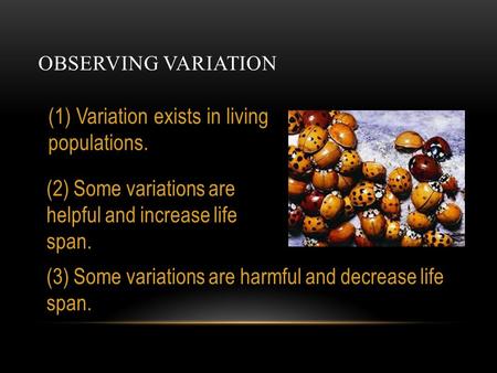 OBSERVING VARIATION (1) Variation exists in living populations. (2) Some variations are helpful and increase life span. (3) Some variations are harmful.