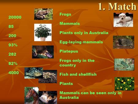1. Match Frogs Mammals Plants only in Australia Egg-laying mammals Platepus Frogs only in the country Fish and shellfish Plants Mammals can be seen only.