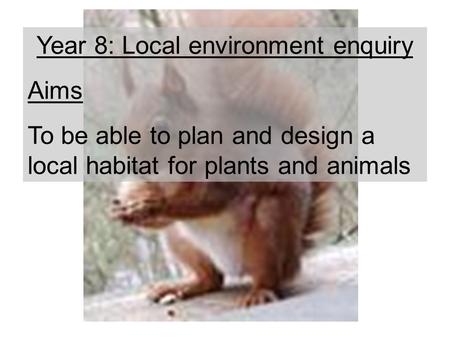 Year 8: Local environment enquiry Aims To be able to plan and design a local habitat for plants and animals.