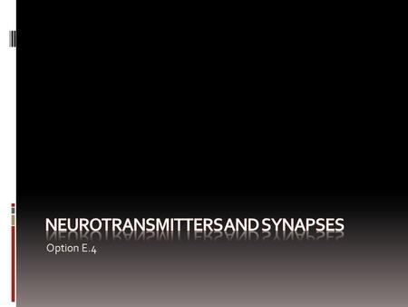Option E.4. Assessment Statements  E.4.1 State that some presynaptic neurons excite postsynaptic transmission and others inhibit postsynaptic transmission.