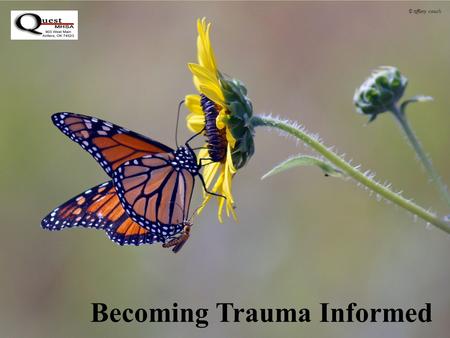 Becoming Trauma Informed © tiffany couch. Trauma Informed Care Trauma-informed care is both a philosophy and a way of providing services based on compelling.