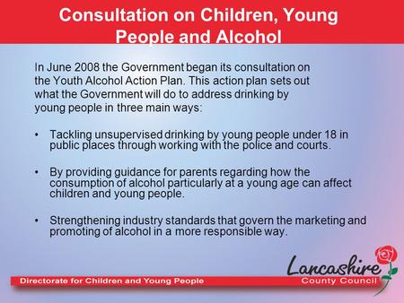 Consultation on Children, Young People and Alcohol In June 2008 the Government began its consultation on the Youth Alcohol Action Plan. This action plan.