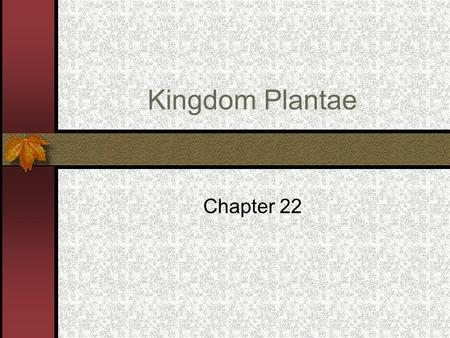 Kingdom Plantae Chapter 22. Plants are divided into 2 categories: Vascular – have internal tissues to conduct nutrients and water. Nonvascular - do not.