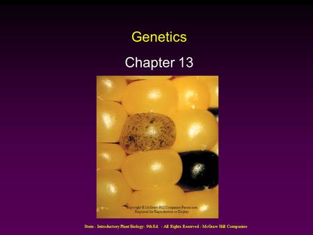 Stern - Introductory Plant Biology: 9th Ed. - All Rights Reserved - McGraw Hill Companies Genetics Chapter 13 Copyright © McGraw-Hill Companies Permission.