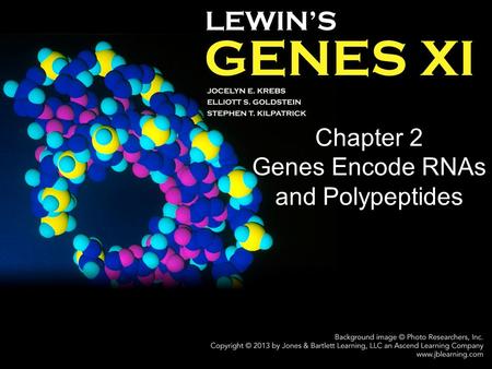 Chapter 2 Genes Encode RNAs and Polypeptides