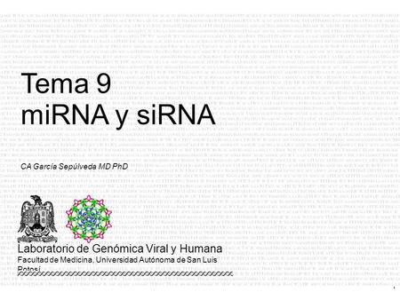 Tema 9 miRNA y siRNA CA García Sepúlveda MD PhD