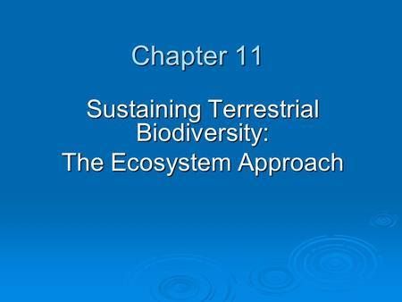 Sustaining Terrestrial Biodiversity: The Ecosystem Approach
