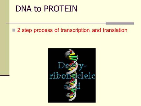 DNA to PROTEIN 2 step process of transcription and translation.