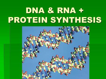DNA & RNA + PROTEIN SYNTHESIS.  DNA (Deoxyribonucleic acid) is the code inside all living organisms.  The first model of DNA was built by Watson & Crick.