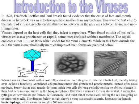 Introduction to the Viruses
