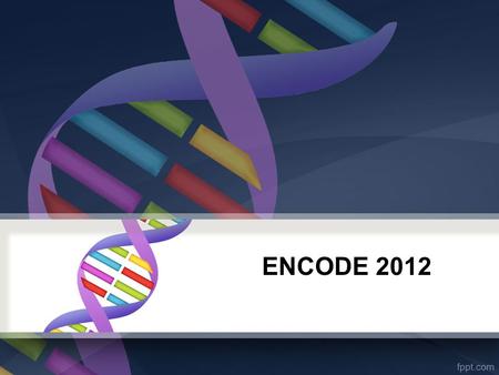 ENCODE 2012. The Human Genome project sequenced “the human genome” “the human genome” that we have labeled as such doesn’t actually exist What we call.