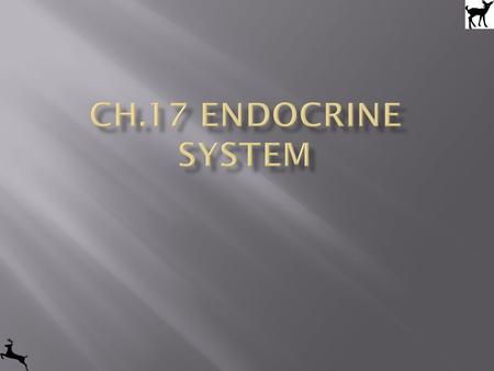 Ch.17 Endocrine system.
