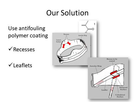 Our Solution Use antifouling polymer coating Recesses Leaflets.