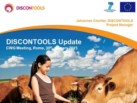 1 DISCONTOOLS Update CWG Meeting, Rome, 30 th January 2015 Johannes Charlier, DISCONTOOLS Project Manager.