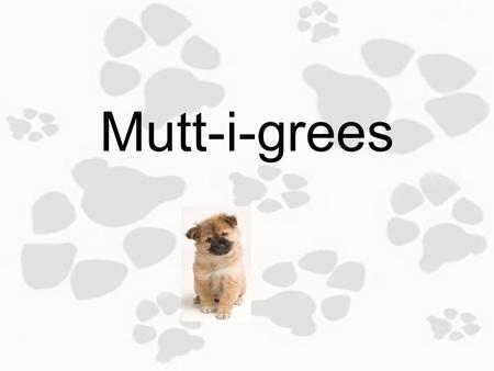 Mutt-i-grees 1.1 Learning from Mutt-i-grees Objective: Today you will rationalize and discuss your unique traits, as well as traits of Mutt-i-gree dogs.