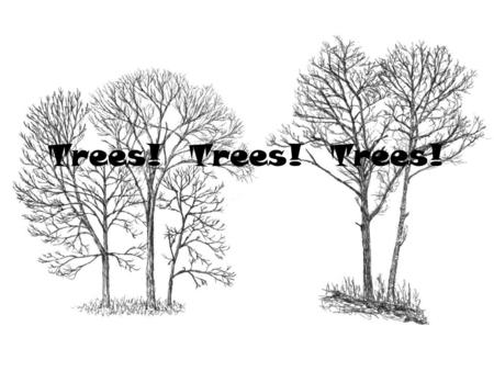 Trees! Trees! Trees!.