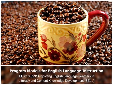 Program Models for English Language Instruction