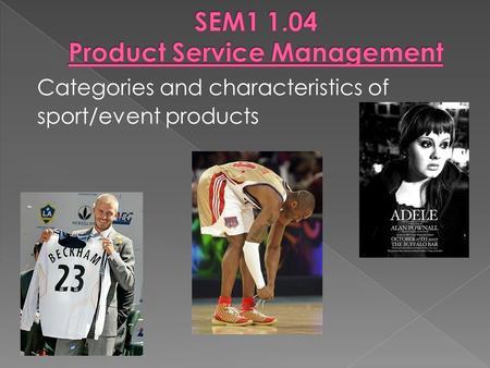 SEM Product Service Management
