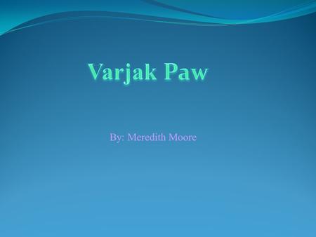 Varjak Paw By: Meredith Moore.