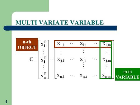 1 MULTI VARIATE VARIABLE n-th OBJECT m-th VARIABLE.