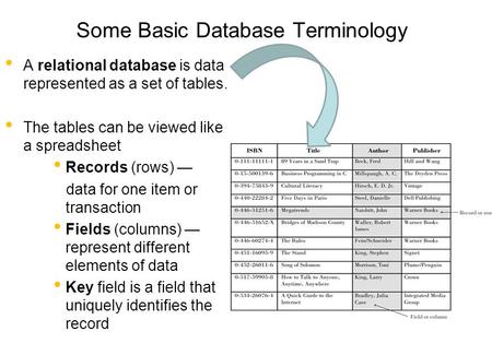 Some Basic Database Terminology