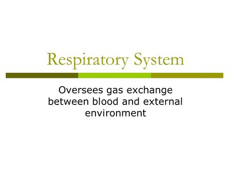 Oversees gas exchange between blood and external environment
