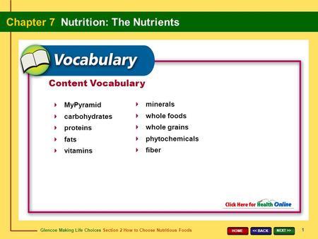 Glencoe Making Life Choices Section 2 How to Choose Nutritious Foods Chapter 7 Nutrition: The Nutrients 1 > HOME Content Vocabulary MyPyramid.