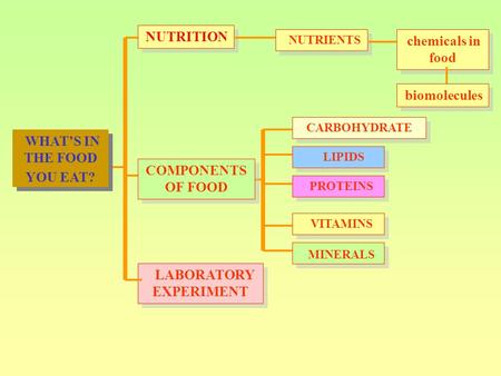 WHAT’S IN THE FOOD YOU EAT? NUTRITION COMPONENTS OF FOOD LABORATORY EXPERIMENT CARBOHYDRATE LIPIDS VITAMINS PROTEINS NUTRIENTS chemicals in food biomolecules.