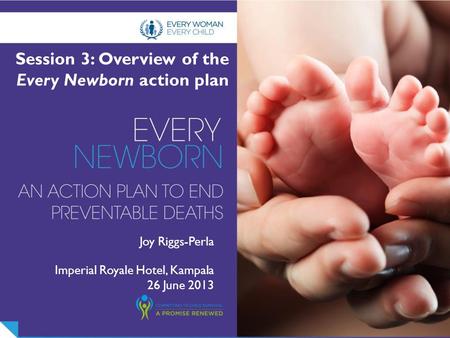 Joy Riggs-Perla Imperial Royale Hotel, Kampala 26 June 2013 Session 3: Overview of the Every Newborn action plan.