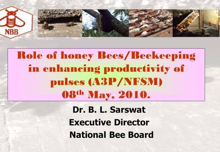 Role of honey Bees/Beekeeping in enhancing productivity of pulses (A3P/NFSM) 08 th May, 2010. Dr. B. L. Sarswat Executive Director National Bee Board.