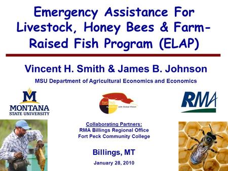 1 Emergency Assistance For Livestock, Honey Bees & Farm- Raised Fish Program (ELAP) Vincent H. Smith & James B. Johnson MSU Department of Agricultural.