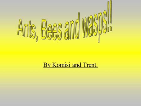 By Komisi and Trent.. What are bees? -Bees are flying insects which collect nectar from the pollen that is in wild flowers (dandelion, sunflower ect.)