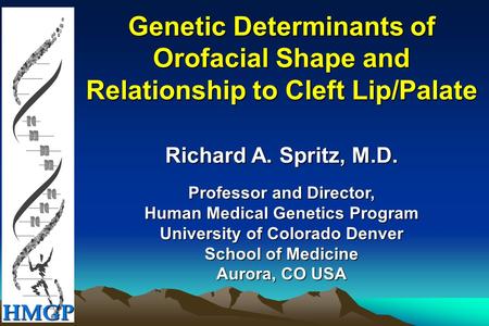 HMGP Genetic Determinants of Orofacial Shape and Relationship to Cleft Lip/Palate Richard A. Spritz, M.D. Professor and Director, Human Medical Genetics.