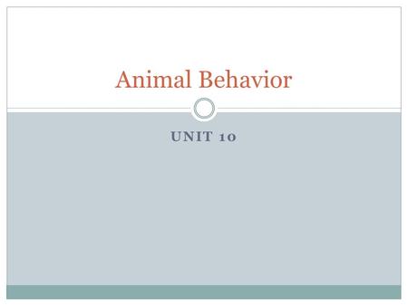UNIT 10 Animal Behavior. Introduction Humans have always studied animal behavior  Knowledge of animal behavior = human survival  For example, understanding.