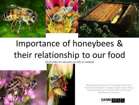 Importance of honeybees & their relationship to our food (draft slides for educators to edit as needed) Materials produced for the Global Pollination Project.