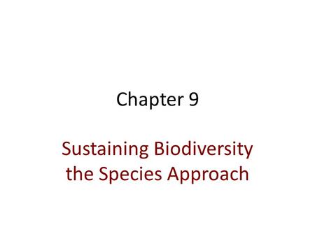 Sustaining Biodiversity the Species Approach