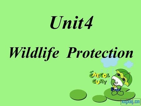 Unit 4 Wildlife Protection.