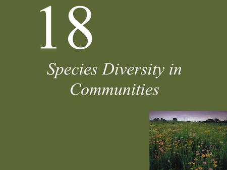 18 Species Diversity in Communities. 18 Species Diversity in Communities Resource Partitioning Nonequilibrium Theories The Consequences of Diversity Case.
