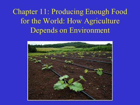 Can We Feed the World? To answer this we must understand how crops grow and how productive they can be. Most viable of human activities but is it sustainable?