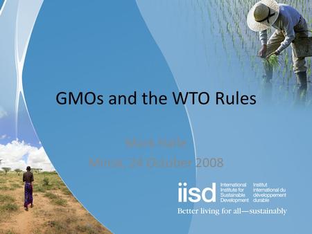 GMOs and the WTO Rules Mark Halle Minsk, 24 October 2008.