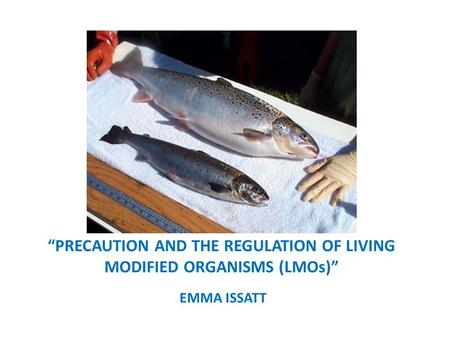 “PRECAUTION AND THE REGULATION OF LIVING MODIFIED ORGANISMS (LMOs)” EMMA ISSATT.