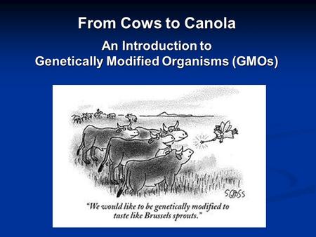 From Cows to Canola An Introduction to Genetically Modified Organisms (GMOs)