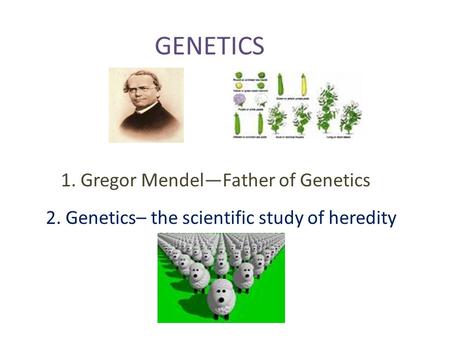 GENETICS 1. Gregor Mendel—Father of Genetics