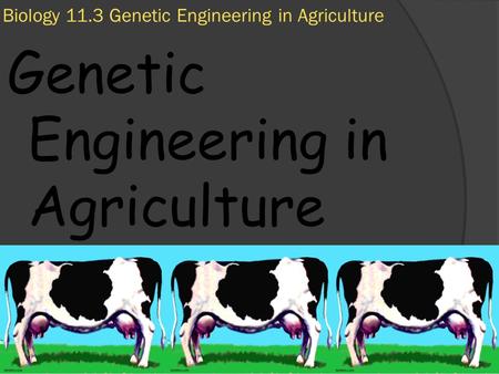 11/7/2009 Biology 11.3 Genetic Engineering in Agriculture Genetic Engineering in Agriculture.